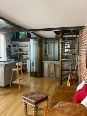 Logement de charme type loft parisien